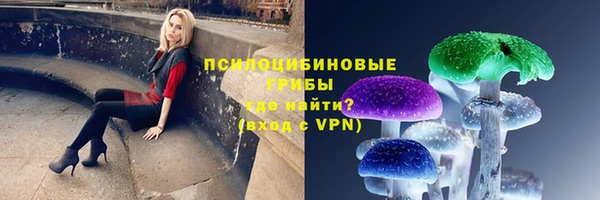 амф Нягань