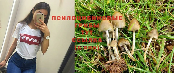 соль курить ск Няндома