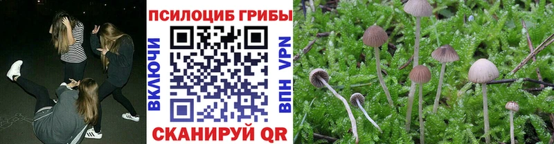 Псилоцибиновые грибы мухоморы  блэк спрут как войти  Приволжский 